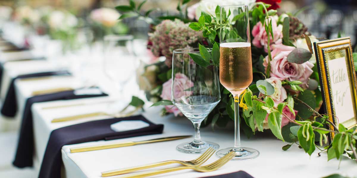 Amigo Party Rentals Ventura & Santa Barbara County Event